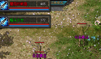新开传奇sf发布网站